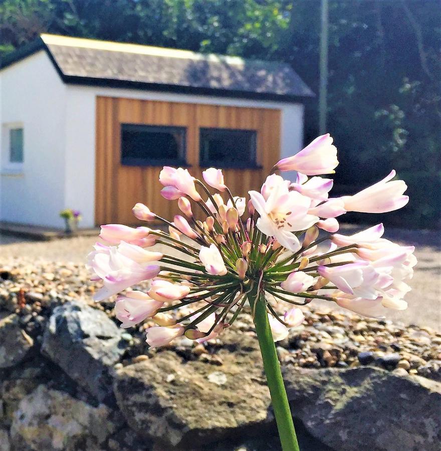 St Awaries Studio, Carne Rosslare Harbour Eksteriør bilde